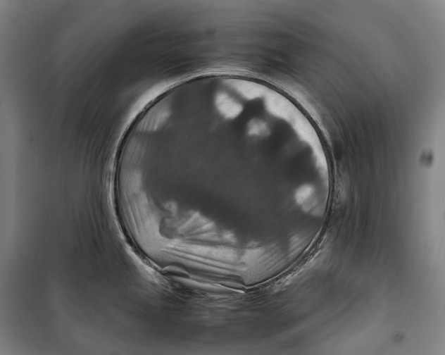 X0000099571245200806061555