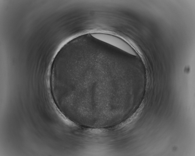 X0000099571246200806061555