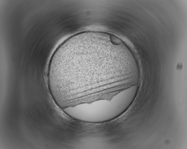 X0000099571248200806061555