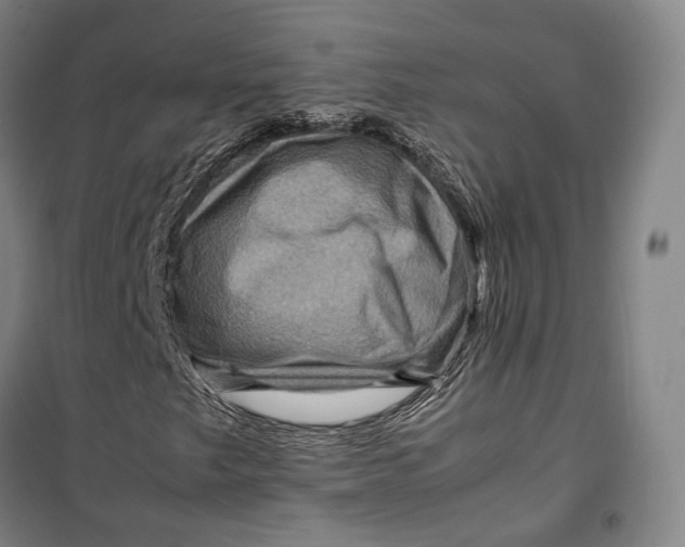 X0000099571249200806061554