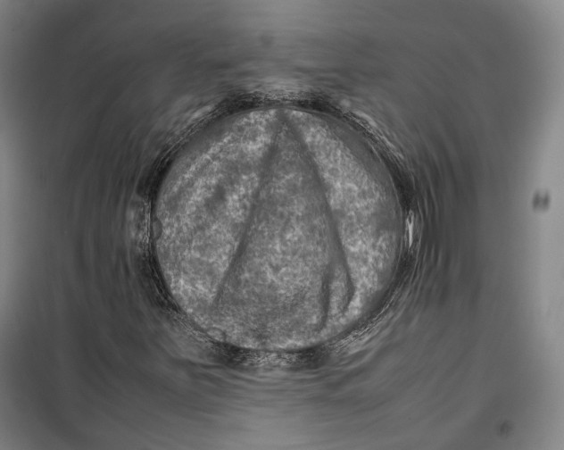 X0000099571251200806061554