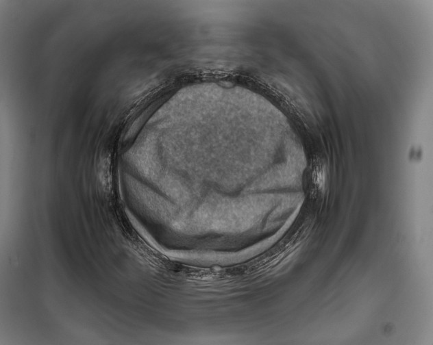 X0000099571252200806061554