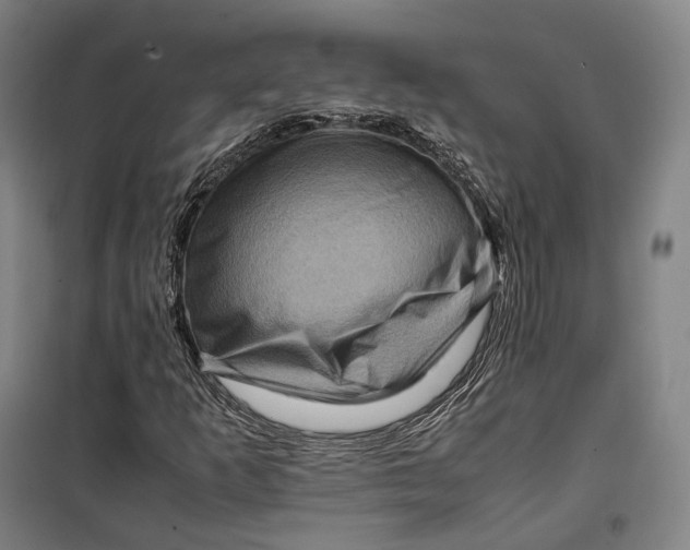 X0000099571253200806061554