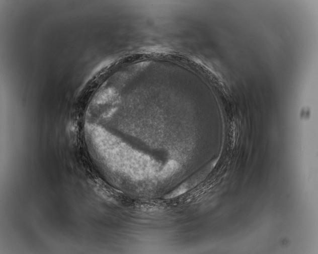 X0000099571254200806061554