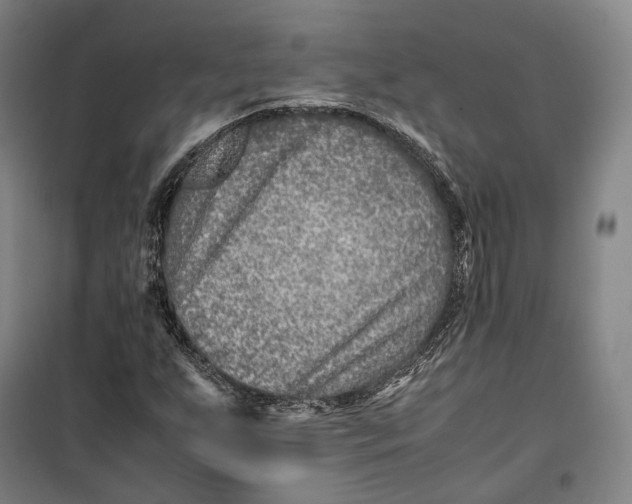 X0000099571255200806061554