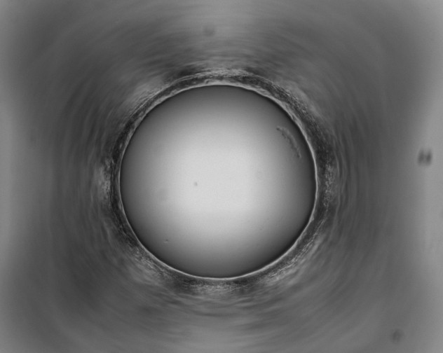 X0000099571257200806061554