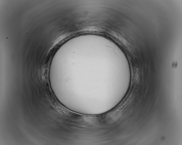 X0000099571258200806061554