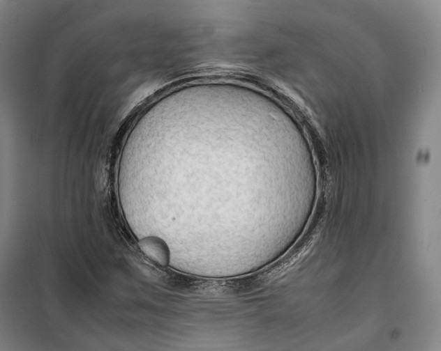 X0000099571259200806061554