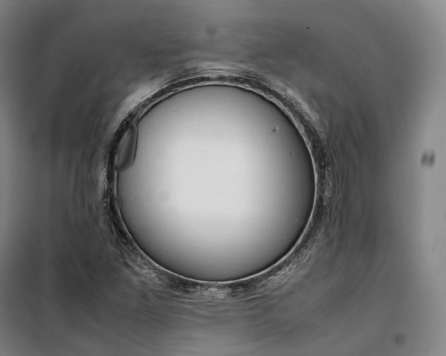 X0000099571261200806061554