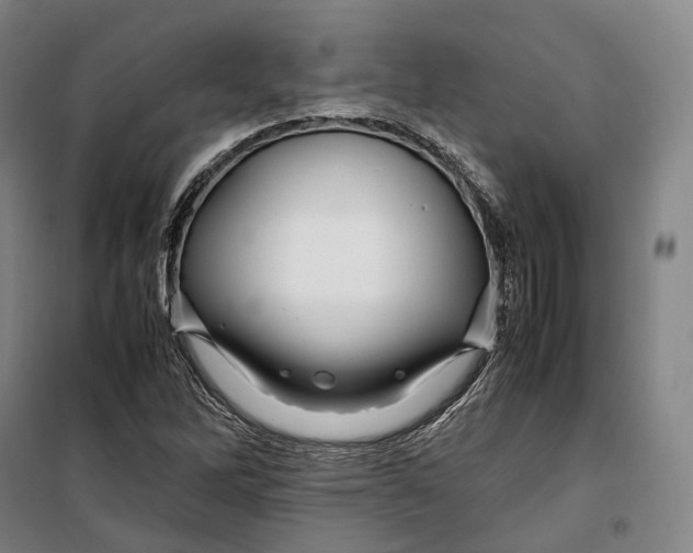 X0000099571262200806061554