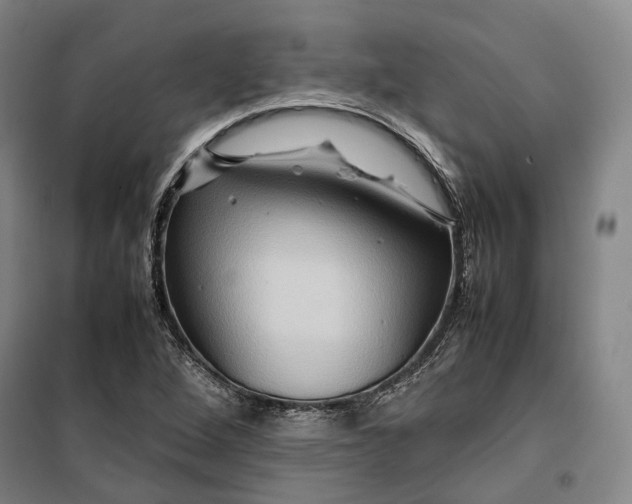 X0000099571264200806061554
