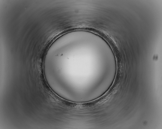 X0000099571265200806061554