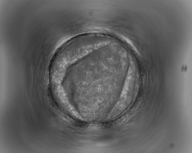 X0000099571267200806061554