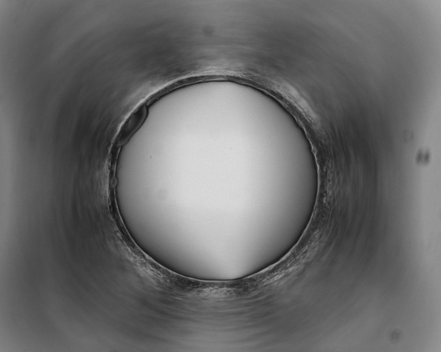 X0000099571268200806061554