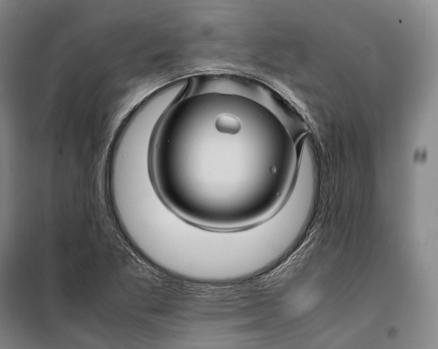 X0000099571269200806061554