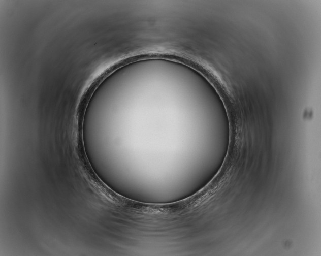 X0000099571270200806061554