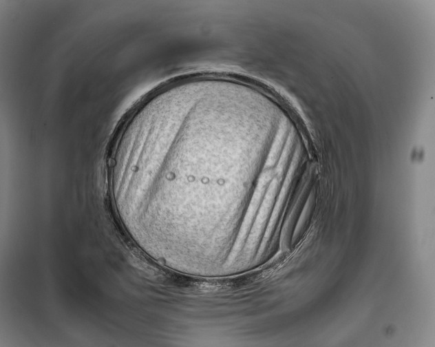 X0000099571271200806061554
