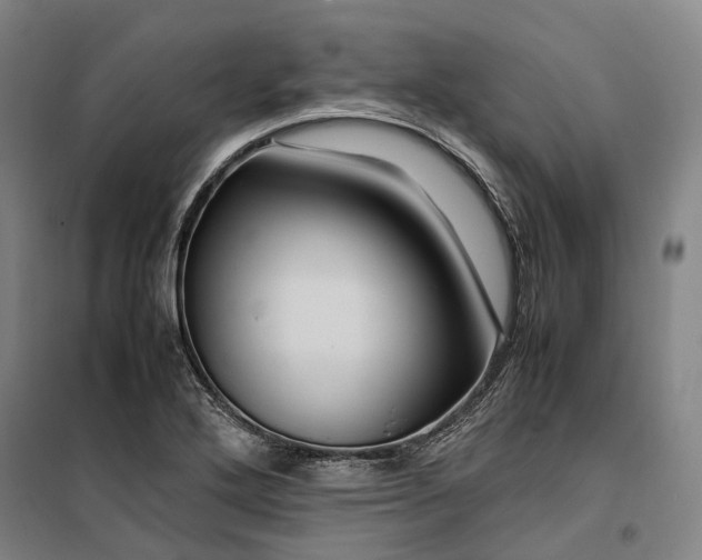 X0000099571272200806061554