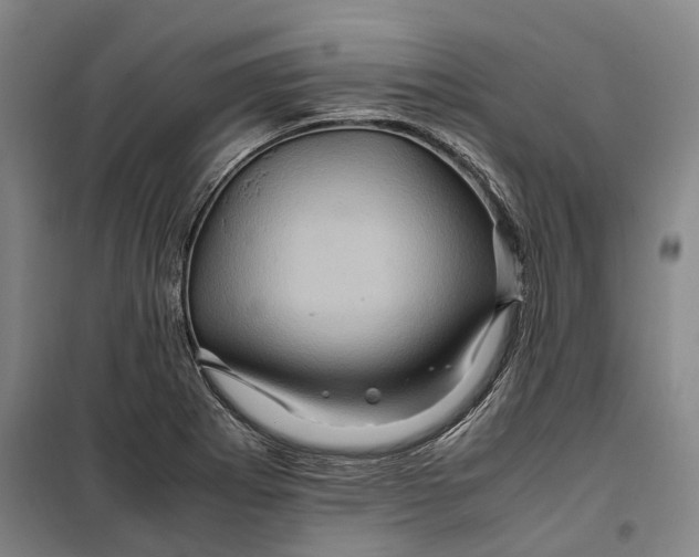 X0000099571273200806061554