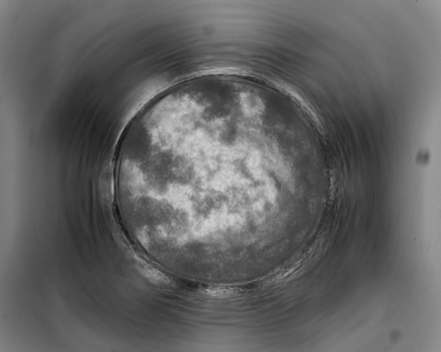 X0000099571274200806061554