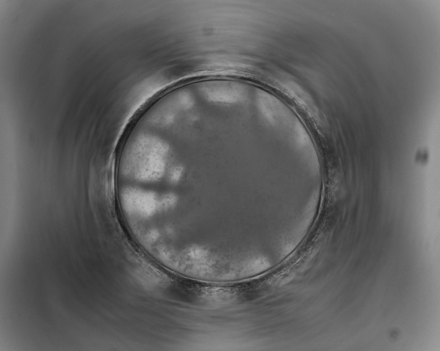 X0000099571275200806061554