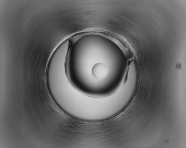 X0000099571276200806061554