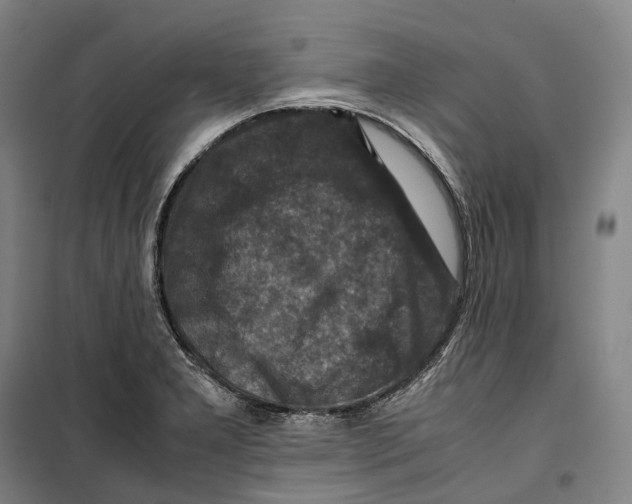 X0000099571277200806061554