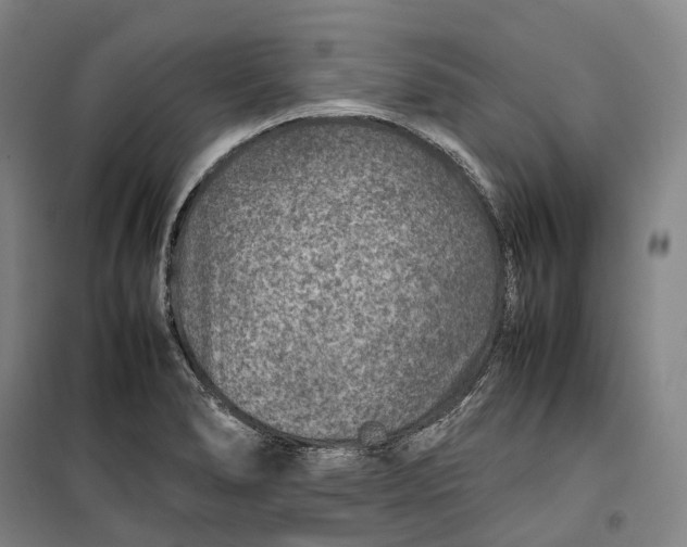 X0000099571278200806061554