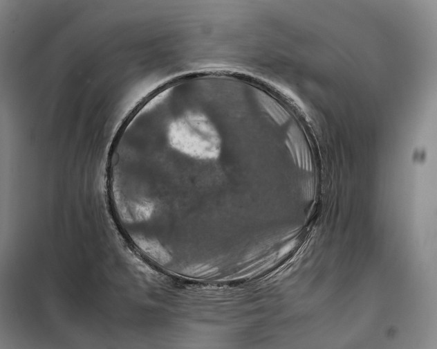 X0000099571279200806061554