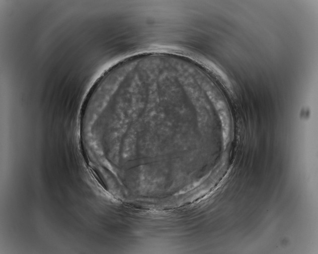 X0000099571280200806061554