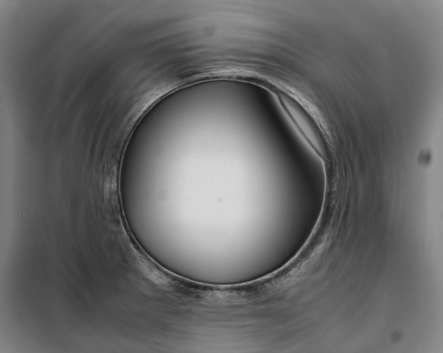 X0000099571281200806061554