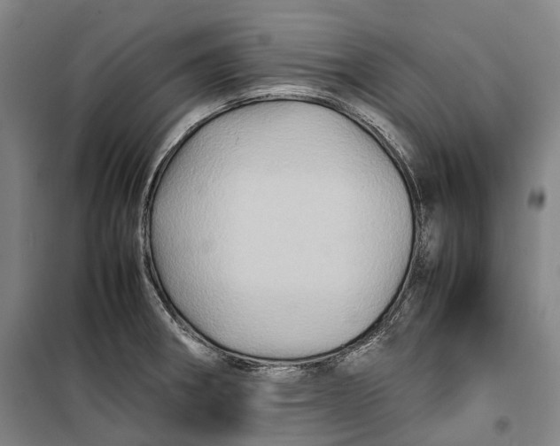 X0000099571282200806061554