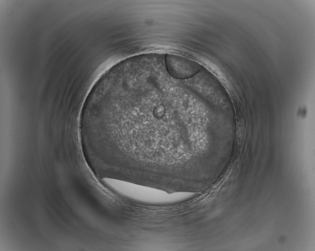 X0000099571283200806061554