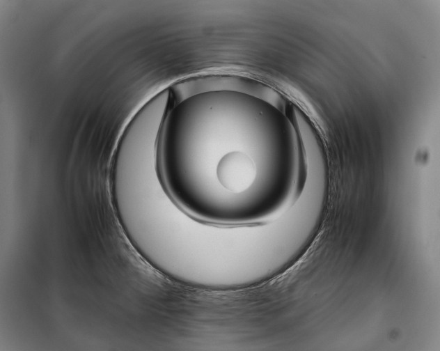 X0000099571284200806061554