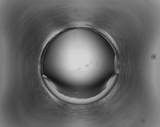X0000099571285200806061554
