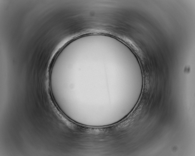 X0000099571286200806061554