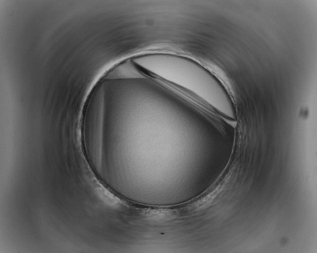 X0000099571288200806061554