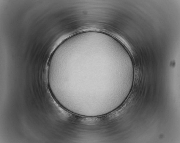 X0000099571290200806061554
