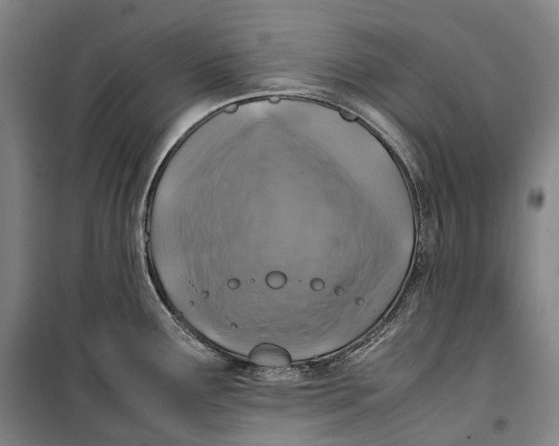 X0000099571291200806061554