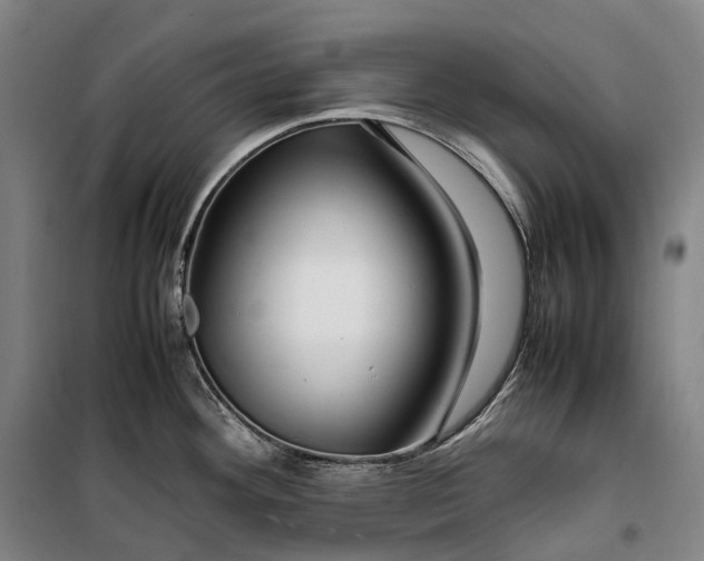 X0000099571292200806061554