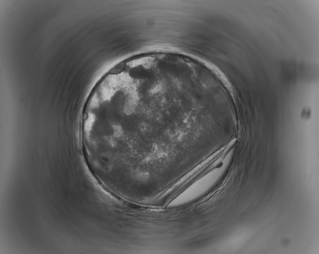 X0000099571295200806061554
