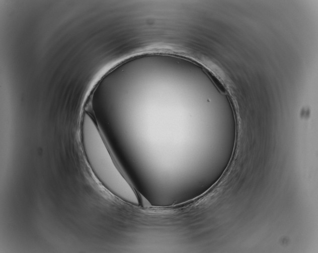 X0000099571296200806061554
