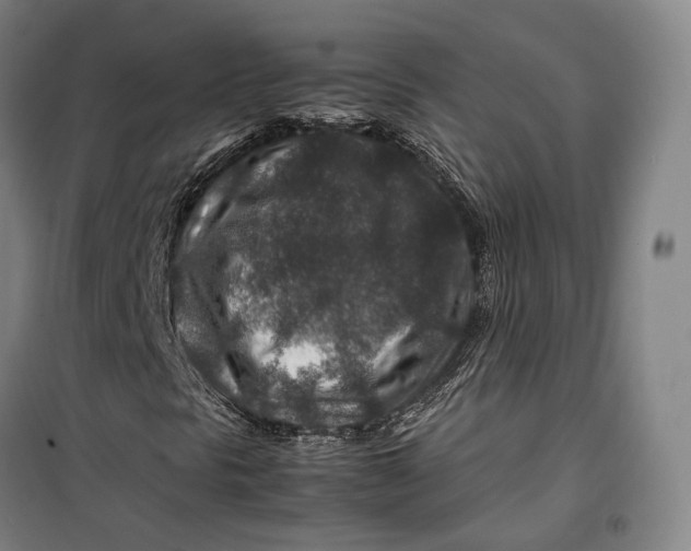 X0000099571297200806061553