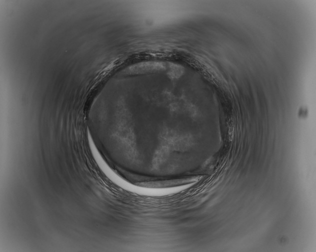 X0000099571298200806061553
