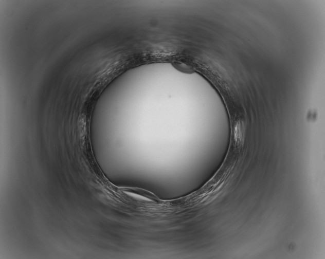 X0000099571299200806061553