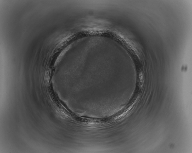 X0000099571300200806061553