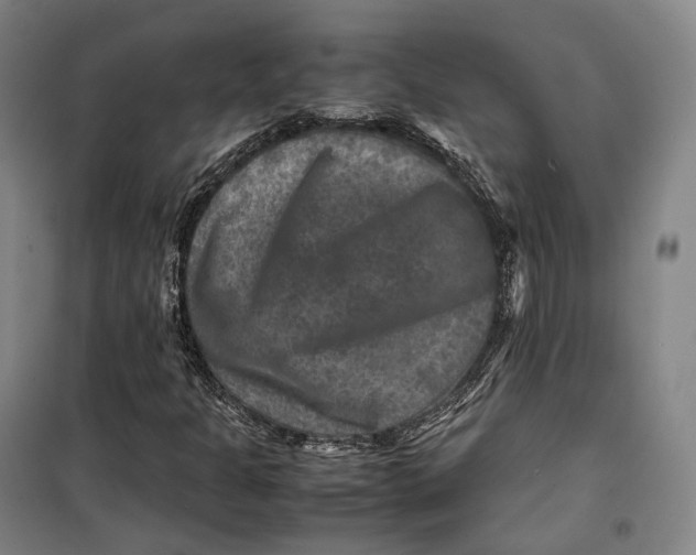 X0000099571301200806061553