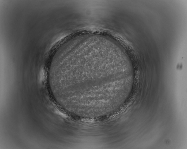 X0000099571302200806061553