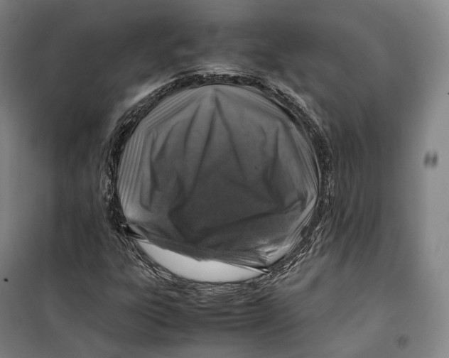 X0000099571303200806061553