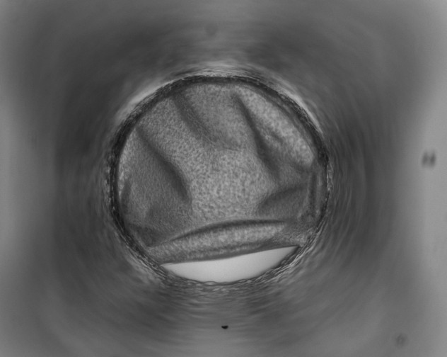 X0000099571304200806061553